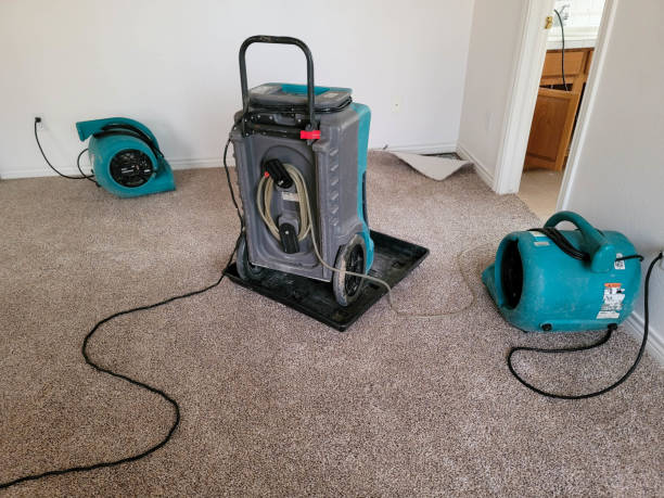 Best Water damage restoration cost  in Raynham Center, MA