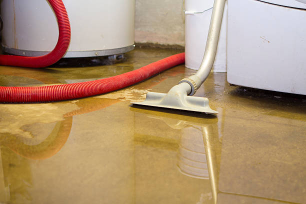 Best Water damage cleanup near me  in Raynham Center, MA
