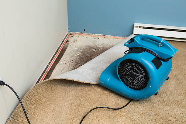 Best Fire Damage Restoration  in Raynham Center, MA